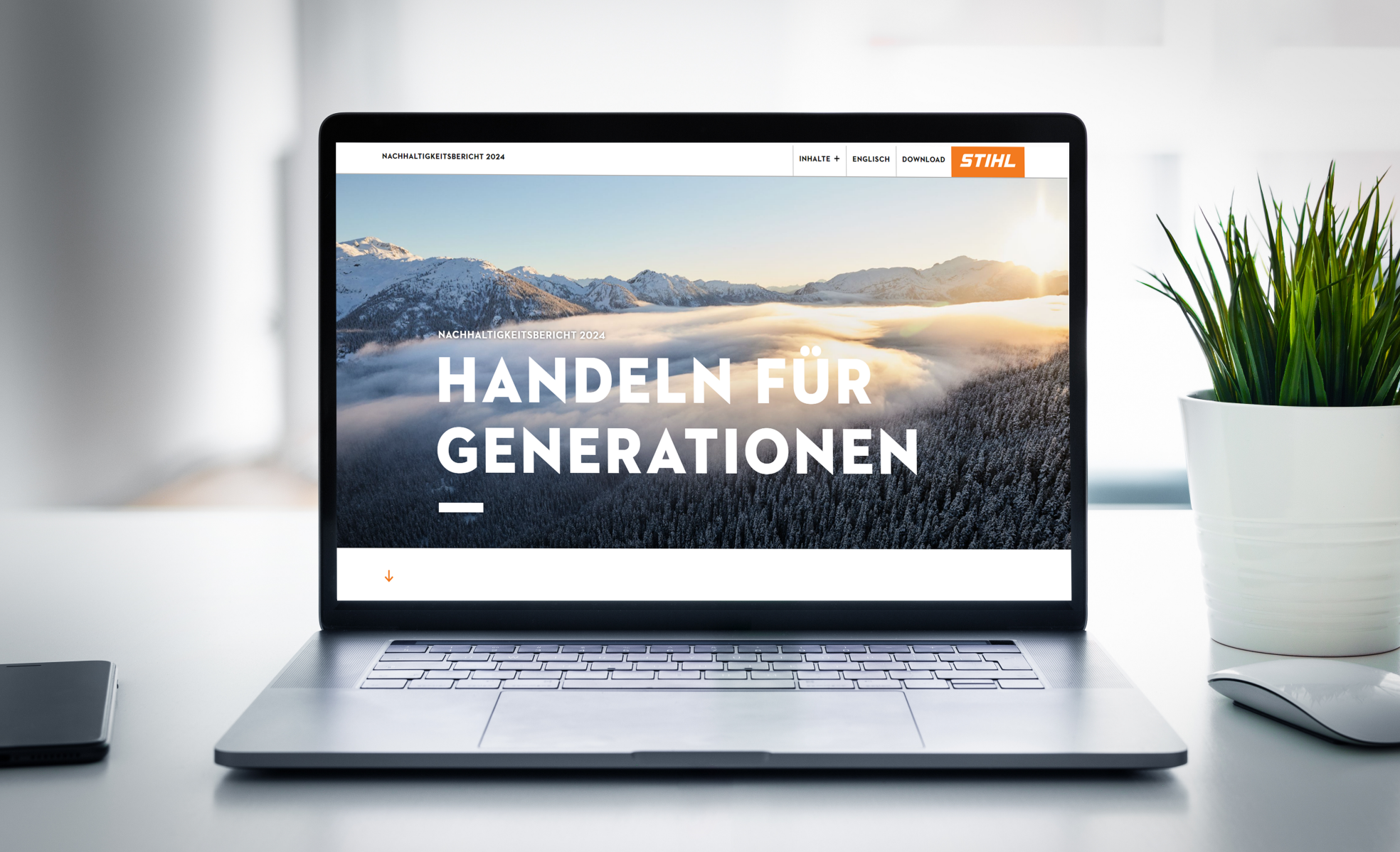 Raport de sustenabilitate