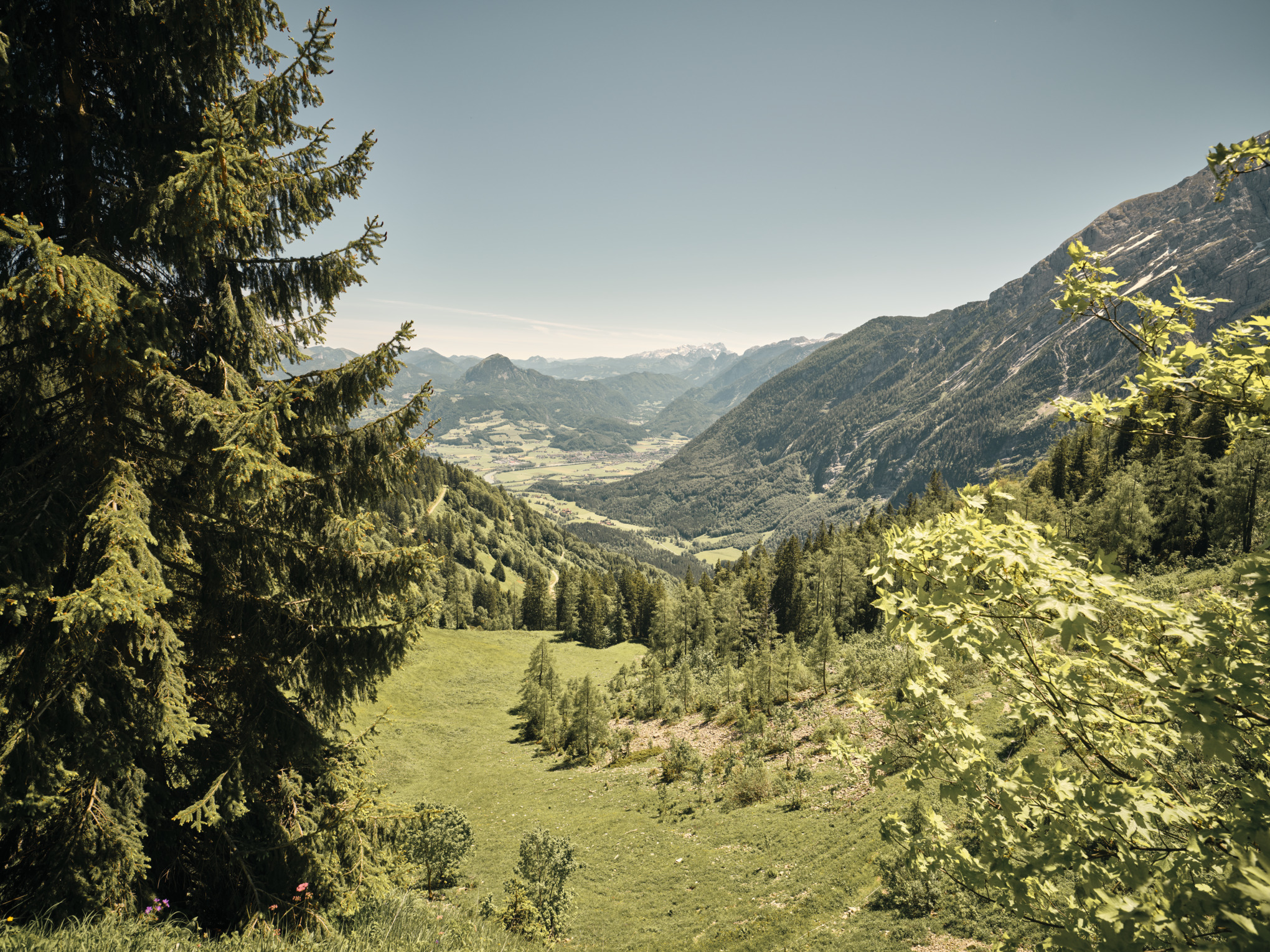 Raport de sustenabilitate 2021