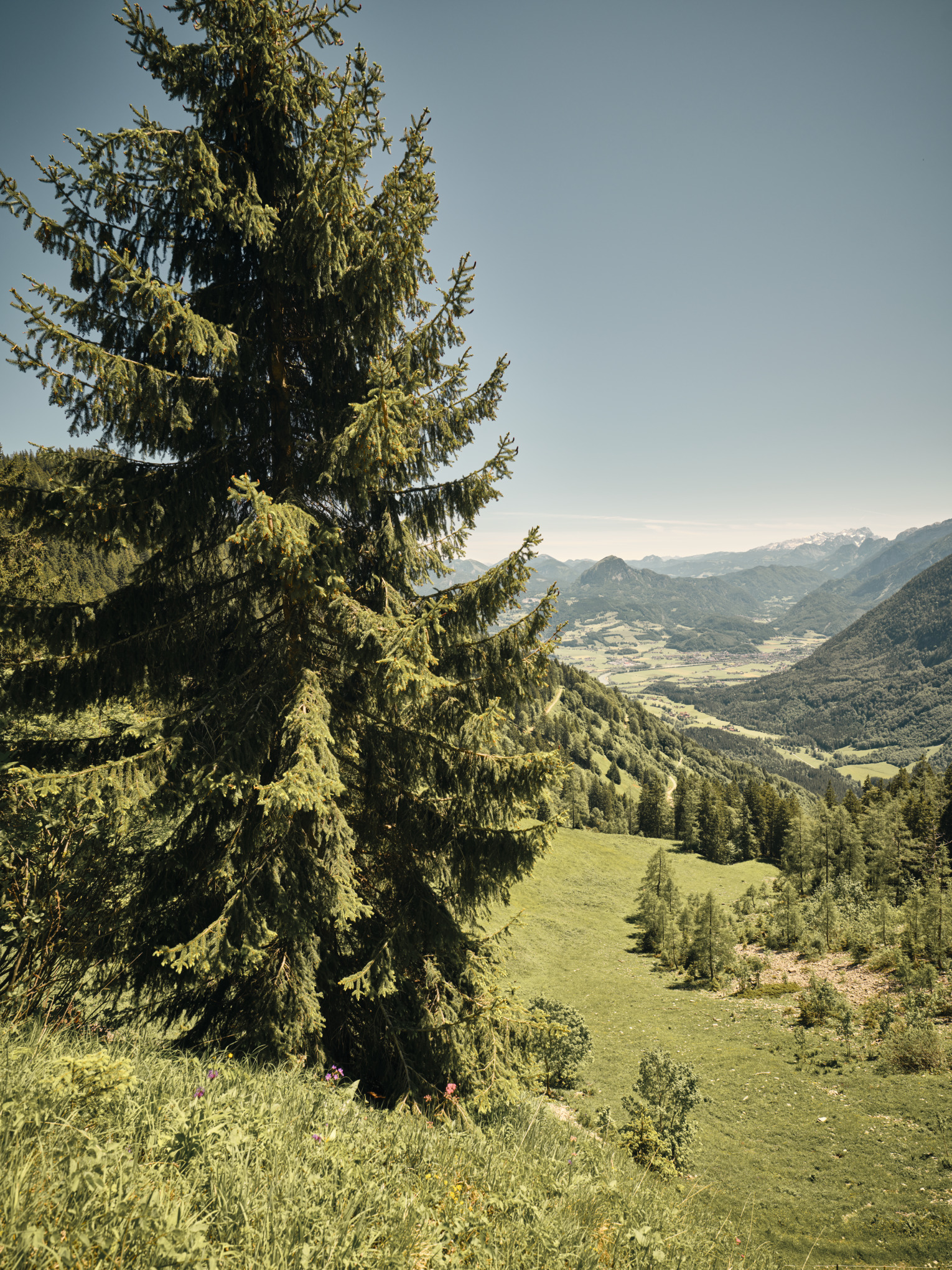 Strategia de durabilitate