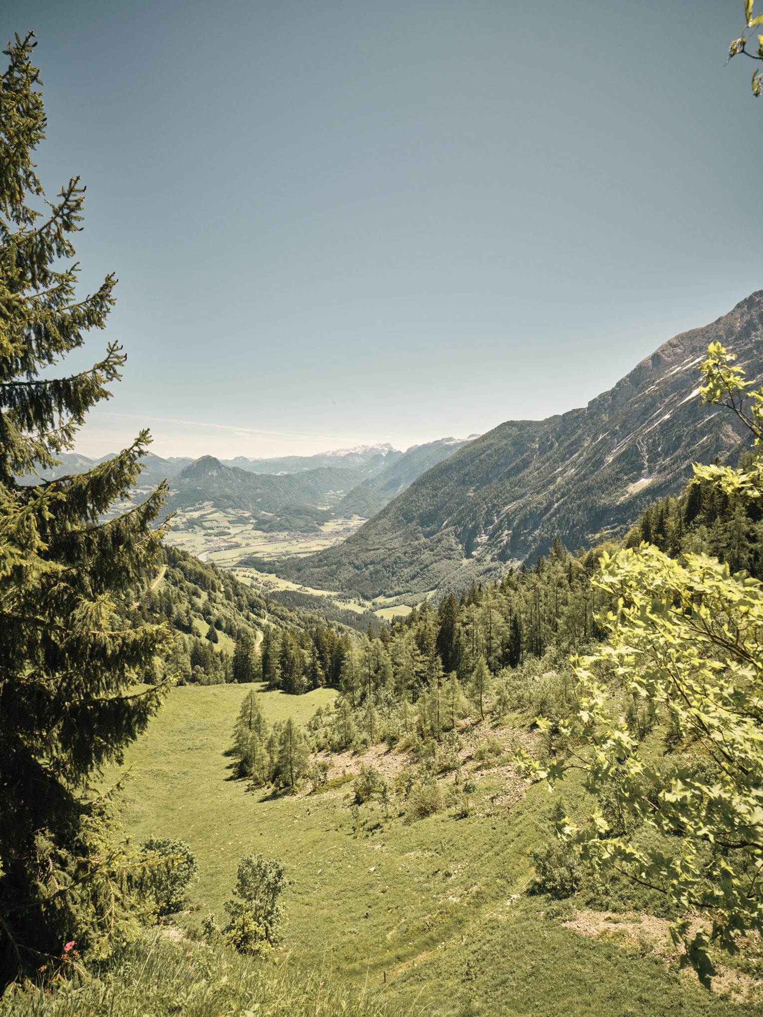 raport de sustenabilitate stihl