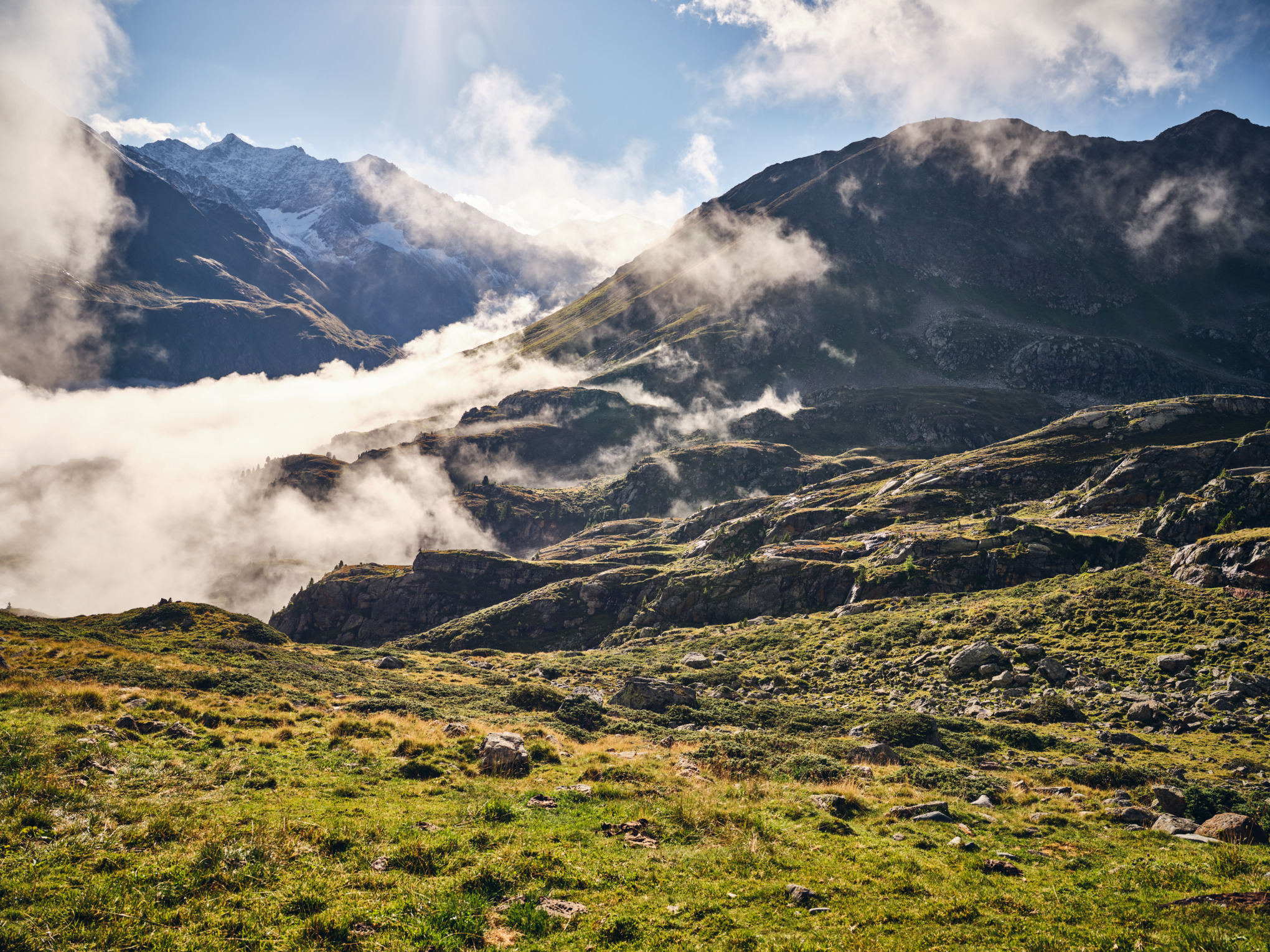 Producție internațională
