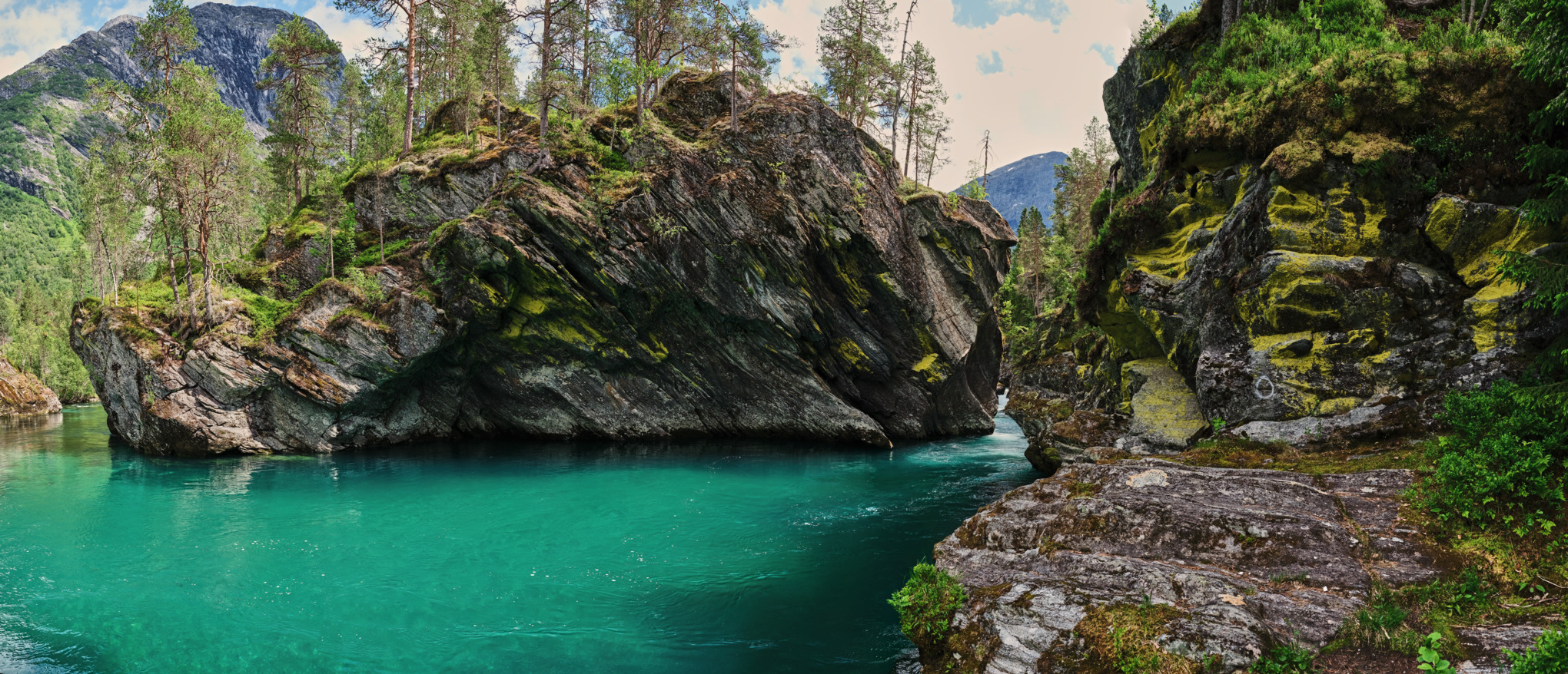 Companii de vânzări STIHL Australia/Pacific