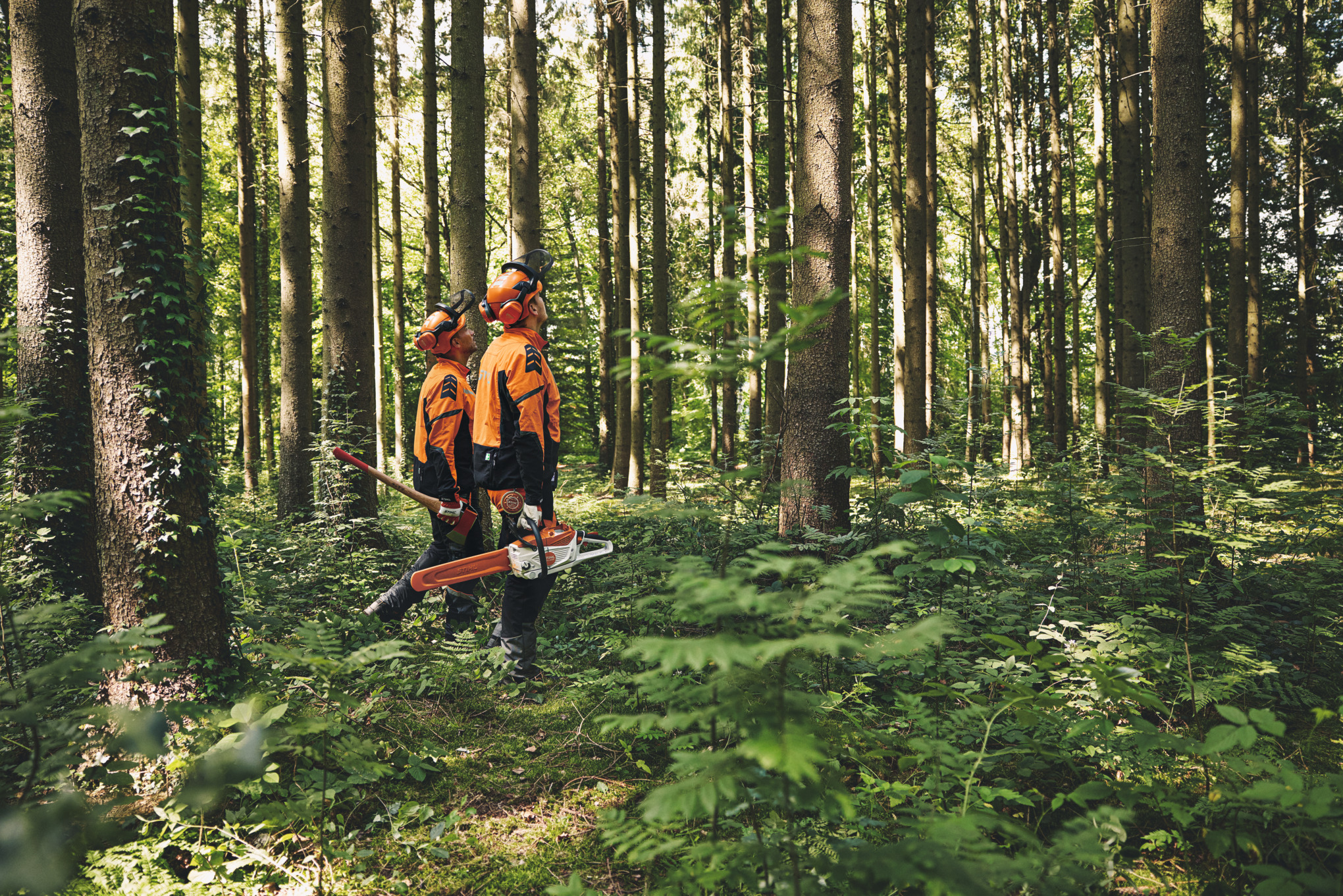 Istoricul produsului