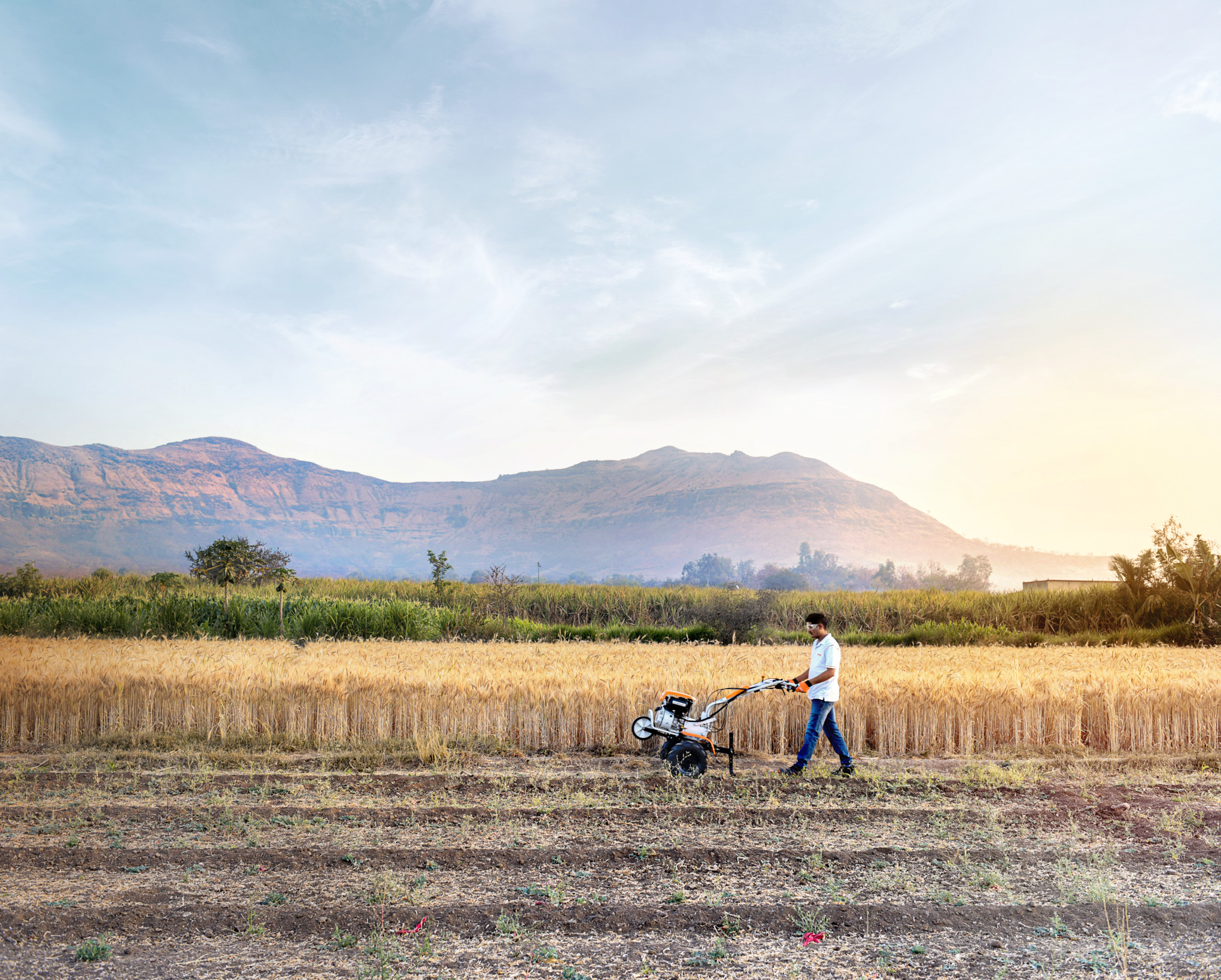 Companii de vânzări STIHL Asia